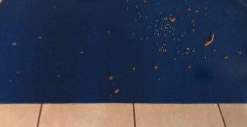 Thumbnail photo by Peggy Kimble of S & M Relo LLC