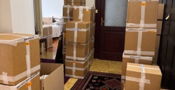 Thumbnail photo by Deborah Hobbins of Traslo Service