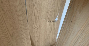 Thumbnail photo by Alison Nuttall of AnyVan