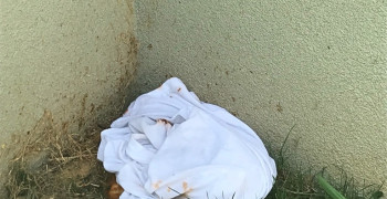 Thumbnail photo by Gillian Schaadt of Best Interstate Moving and Storage