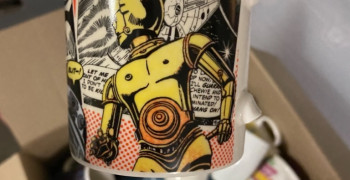 Thumbnail photo by Mel Pierre of CBD Movers AU