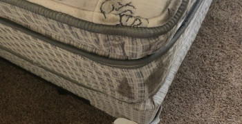 Second thumbnail photo by Joanne Moeller of 1st Generation Moving