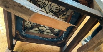 Thumbnail photo by Maren Hofstad of Nationwide Moving Solutions LLC