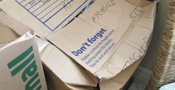 Second thumbnail photo by Emily Finnegan of International Van Lines