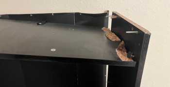 Thumbnail photo by Grace Bundy of NorthWest Relocation