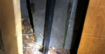 Thumbnail photo by Jodie Morrison of Kingsway Van Lines Inc