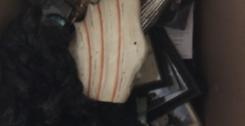 Second thumbnail photo by Robert Liberman of Always Moving Inc.