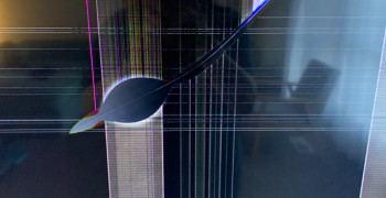 Second thumbnail photo by Inas Mahboub of Ace Movers Pty Ltd