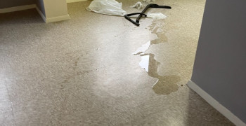 Thumbnail photo by Leigh Klein of Allegiance Moving and Storage LLC