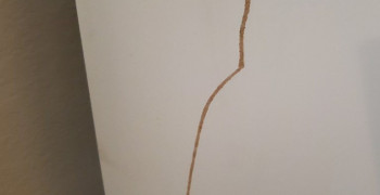 Thumbnail photo by Brad Hurley of Gateway Express Moving