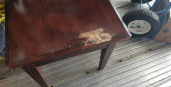 Thumbnail photo by Cathy Kammerer of Moving Staffers