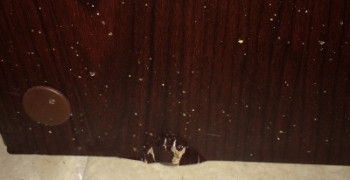 Thumbnail photo by Cinnamon White of U Pack