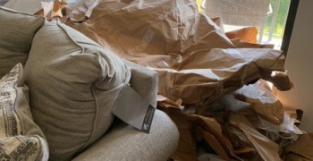 Thumbnail photo by Helene Flor of OM van Lines