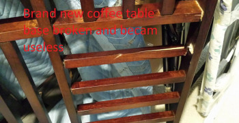Thumbnail photo by Farhoud Kabirian of 1st Generation Moving