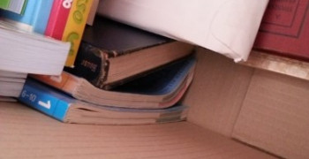 Thumbnail photo by Blanca of Grace Removals Group