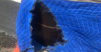 Thumbnail photo by Paul D Ru of Always Moving Inc.