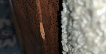 Second thumbnail photo by Toni Wein of Courtesy Moving and Storage