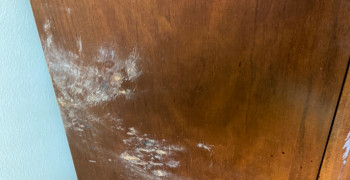 Thumbnail photo by Pam Ware of Moving Staffers