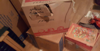 Thumbnail photo by Daniel Carpenter of Golden Glove Movers