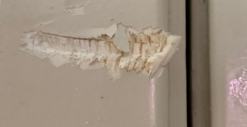 Second thumbnail photo by Scott Argent of 2 Burley Men Moving