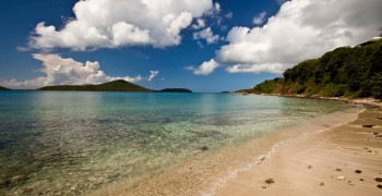 Thumbnail photo by Rachel Cohen of United Transportation Moving & Storage