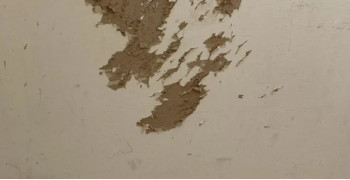 Thumbnail photo by Marco Rodriguez of Pack and Ship Movers LLC