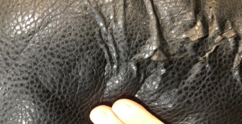 Thumbnail photo by Rae Hussell of 2 Burley Men Moving