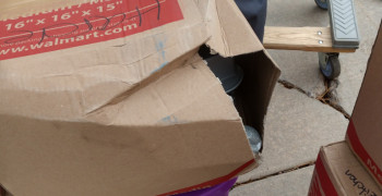 Second thumbnail photo by Susan Alderfer of Excalibur Moving Group