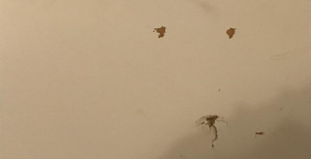 Thumbnail photo by Carlos Theodorico De Frei of Golan's Moving & Storage