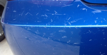 Thumbnail photo by Janet of Montway Auto Transport