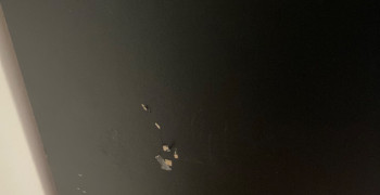 Thumbnail photo by Andrii Dydyna of Atlantic Van Lines