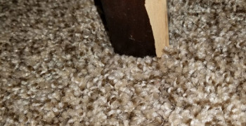 Second thumbnail photo by Danielle of Mighty Movers Inc