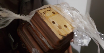 Thumbnail photo by Rachel Lincoln of Geo Van Lines