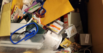 Thumbnail photo by Irene Leung of Trans Moving