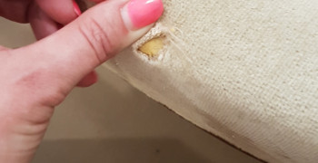 Thumbnail photo by Mandie C of Metropolitan Movers