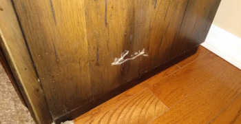 Thumbnail photo by James Barkin of American Home Relocation