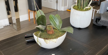 Second thumbnail photo by Angela Spahr of Gold Standard Moving and Storage LLC