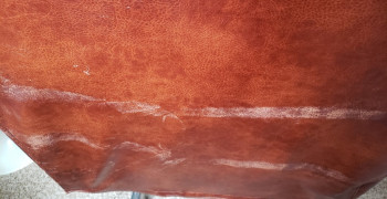 Thumbnail photo by Kimberly Grieser of Geo Van Lines