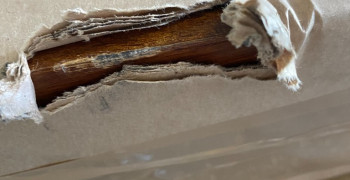 Second thumbnail photo by Nadia Porter of PSS International Removals