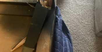 Thumbnail photo by Tony Brown of United Transportation Moving & Storage