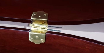 Thumbnail photo by Sophia Giblin of Trans Van Lines