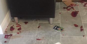 Second thumbnail photo by Bernardina Lino of Direct Relocation Services LLC