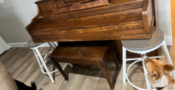 Thumbnail photo by Jessica Thurman of American Plus Moving and Storage