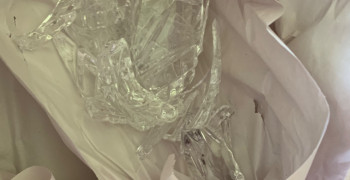 Thumbnail photo by Denise Cassetta of Interstate Moving & Relocation Group