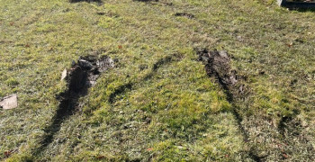 Thumbnail photo by Gwen Hay of Safe Ship Moving Services