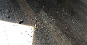 Second thumbnail photo by Bhru Patel of Safeway Moving Systems