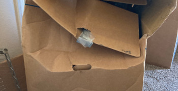 Thumbnail photo by Jj Graham of International Van Lines