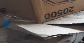 Thumbnail photo by Suzanne Manning of American Standard Moving & Storage