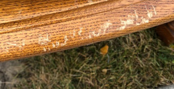 Second thumbnail photo by Elena Giese Giese of Mega Van Lines