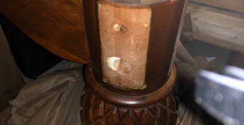 Thumbnail photo by Susan Hayes of Zippy Shell Incorporated